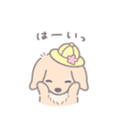 ダックスフンドのふくまる6 春夏多め（個別スタンプ：3）