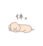ダックスフンドのふくまる6 春夏多め（個別スタンプ：24）