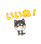 柴犬の福ちゃんスタンプ第4弾です(Ver.2)（個別スタンプ：3）