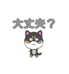 柴犬の福ちゃんスタンプ第4弾です(Ver.2)（個別スタンプ：9）