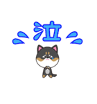 柴犬の福ちゃんスタンプ第4弾です(Ver.2)（個別スタンプ：22）