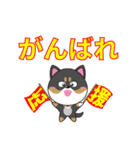 柴犬の福ちゃんスタンプ第4弾です(Ver.2)（個別スタンプ：36）