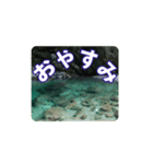 涼しい川のスタンプ（個別スタンプ：4）