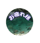 涼しい川のスタンプ（個別スタンプ：5）