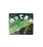 涼しい川のスタンプ（個別スタンプ：7）