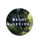 涼しい川のスタンプ（個別スタンプ：11）