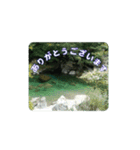 涼しい川のスタンプ（個別スタンプ：15）