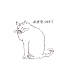 猫のいつもの会話（個別スタンプ：2）