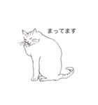 猫のいつもの会話（個別スタンプ：3）