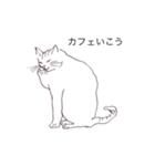 猫のいつもの会話（個別スタンプ：5）