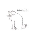 猫のいつもの会話（個別スタンプ：7）