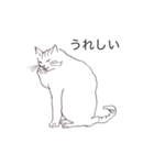 猫のいつもの会話（個別スタンプ：8）