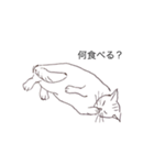 猫のいつもの会話（個別スタンプ：10）