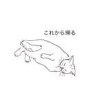 猫のいつもの会話（個別スタンプ：11）