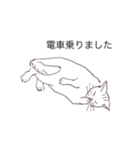 猫のいつもの会話（個別スタンプ：12）
