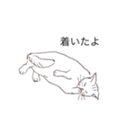 猫のいつもの会話（個別スタンプ：16）