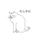 猫のいつもの会話（個別スタンプ：17）