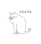 猫のいつもの会話（個別スタンプ：18）