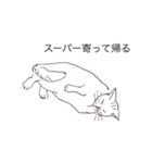 猫のいつもの会話（個別スタンプ：20）