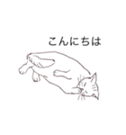 猫のいつもの会話（個別スタンプ：21）