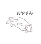 猫のいつもの会話（個別スタンプ：23）