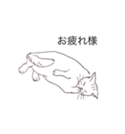 猫のいつもの会話（個別スタンプ：24）