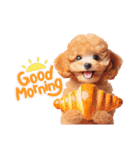 かわいいトイプーの犬スタンプ（個別スタンプ：1）