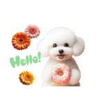かわいいトイプーの犬スタンプ（個別スタンプ：2）
