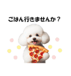 かわいいトイプーの犬スタンプ（個別スタンプ：9）