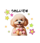 かわいいトイプーの犬スタンプ（個別スタンプ：11）