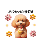 かわいいトイプーの犬スタンプ（個別スタンプ：14）