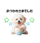 かわいいトイプーの犬スタンプ（個別スタンプ：15）