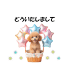 かわいいトイプーの犬スタンプ（個別スタンプ：20）