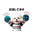 かわいいトイプーの犬スタンプ（個別スタンプ：21）
