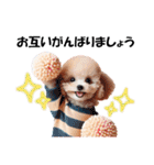 かわいいトイプーの犬スタンプ（個別スタンプ：22）