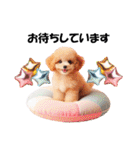 かわいいトイプーの犬スタンプ（個別スタンプ：25）
