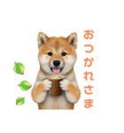 しばけんのあいさつ（個別スタンプ：4）