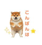 しばけんのあいさつ（個別スタンプ：29）