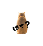 yocco baba（チビの日常会話）（個別スタンプ：5）