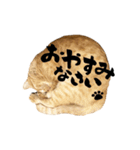 yocco baba（チビの日常会話）（個別スタンプ：24）