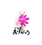yocco baba(花と植物)（個別スタンプ：3）