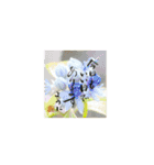 yocco baba(花と植物)（個別スタンプ：7）