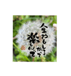 yocco baba(花と植物)（個別スタンプ：11）