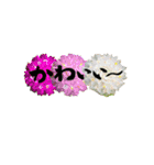 yocco baba(花と植物)（個別スタンプ：13）