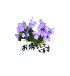 yocco baba(花と植物)（個別スタンプ：16）