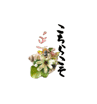 yocco baba(花と植物)（個別スタンプ：19）