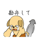 お喋りラブラドール（個別スタンプ：8）