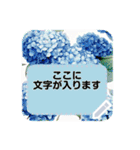 大人が使える春夏の花 メッセージスタンプ（個別スタンプ：16）