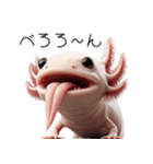 ウーパールーパー4！変態！3Dリアル（個別スタンプ：1）