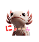 ウーパールーパー4！変態！3Dリアル（個別スタンプ：13）